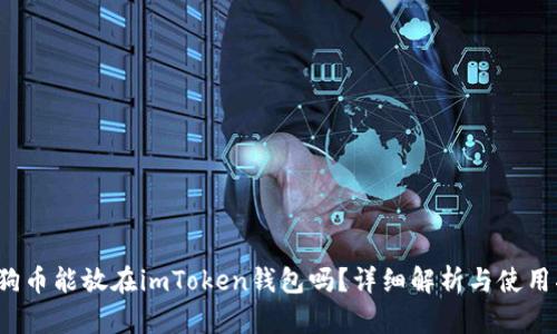  狗狗币能放在imToken钱包吗？详细解析与使用指南