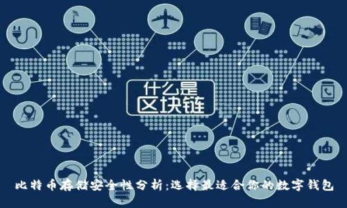 比特币存储安全性分析：选择最适合你的数字钱包