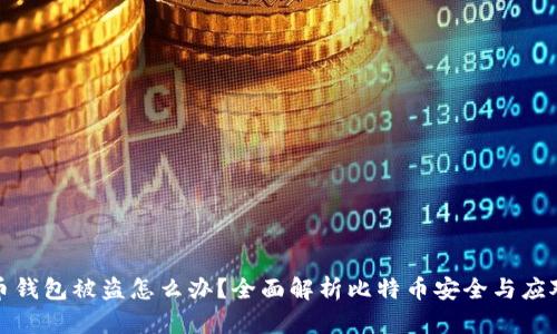 比特币钱包被盗怎么办？全面解析比特币安全与应对措施