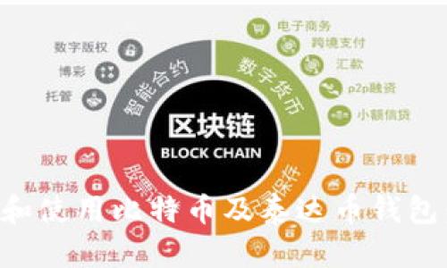 如何选择和使用比特币及泰达币钱包：全面指南