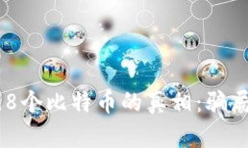  揭秘钱包中198个比特币的真相：骗局还是未解之谜？