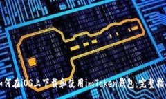 :如何在iOS上下载和使用