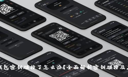 比特币钱包密钥碰撞了怎么办？全面解析密钥碰撞及应对措施