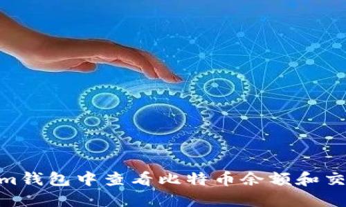 如何在im钱包中查看比特币余额和交易记录？