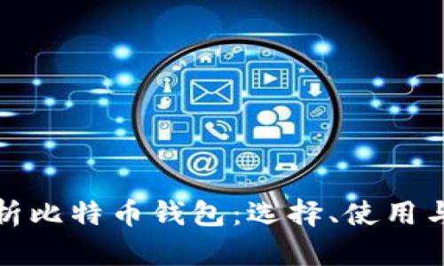全面解析比特币钱包：选择、使用与安全性
