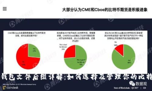 比特币钱包文件后缀详解：如何选择及管理你的比特币钱包