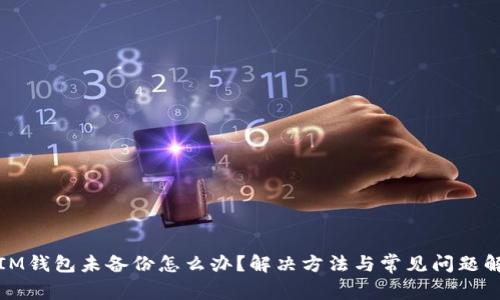 : IM钱包未备份怎么办？解决方法与常见问题解析