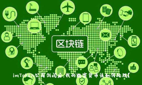 imToken公司倒闭后，我的数字货币该如何处理？
