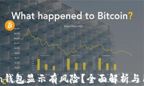 
为何imToken钱包显示有风险？全面解析与用户保护指南