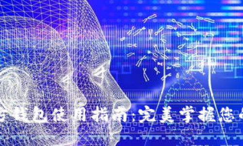 比特币官方钱包使用指南：完美掌握您的数字资产