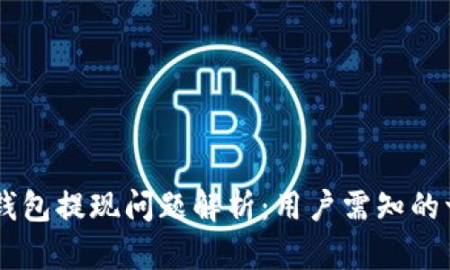 IM钱包提现问题解析：用户需知的一切