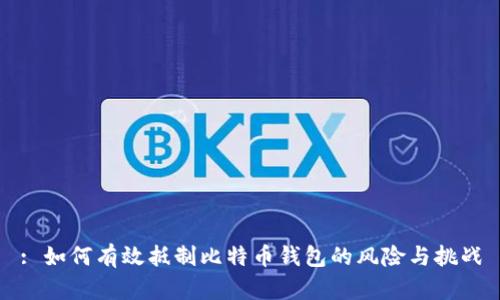 : 如何有效抵制比特币钱包的风险与挑战