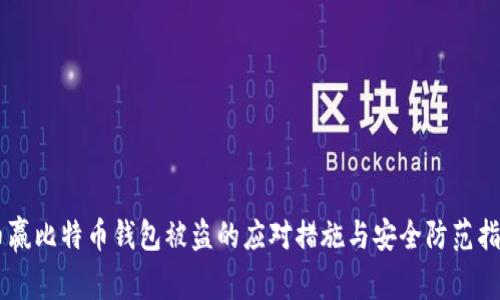 币赢比特币钱包被盗的应对措施与安全防范指南