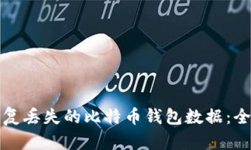 如何恢复丢失的比特币钱包数据：全面指南