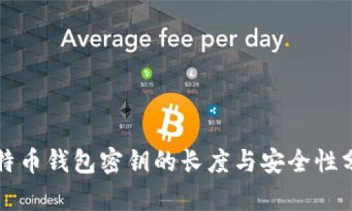 比特币钱包密钥的长度与安全性分析