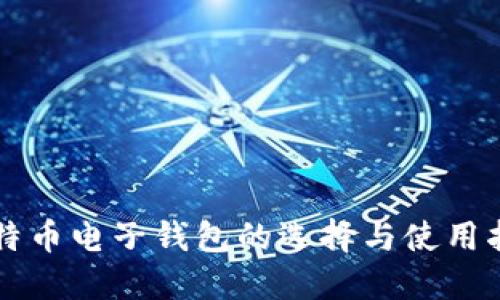 比特币电子钱包的选择与使用指南