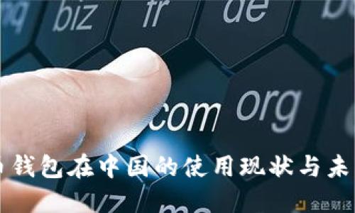 比特币钱包在中国的使用现状与未来展望