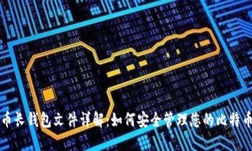 比特币长钱包文件详解：如何安全管理您的比特币资产