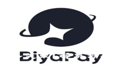 IM钱包助忘词导入失败？解