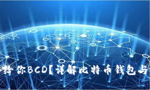 哪个比特币钱包会给你BCD？详解比特币钱包与比特币现金的关系