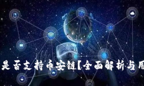IM钱包是否支持币安链？全面解析与用户指南