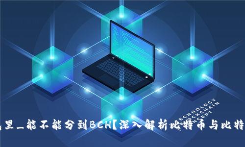 比特币在钱包里_能不能分到BCH？深入解析比特币与比特币现金的关系