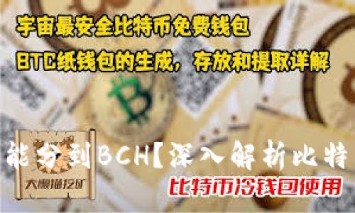 比特币在钱包里_能不能分到BCH？深入解析比特币与比特币现金的关系