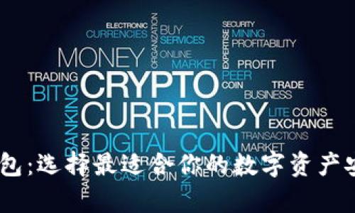 USDT存储钱包：选择最适合你的数字资产安全解决方案