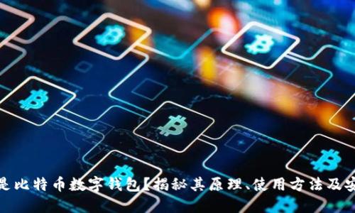 什么是比特币数字钱包？揭秘其原理、使用方法及安全性