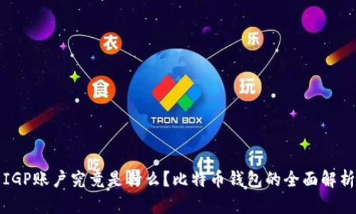 IGP账户究竟是什么？比特币钱包的全面解析