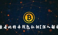 如何安全地查看比特币钱