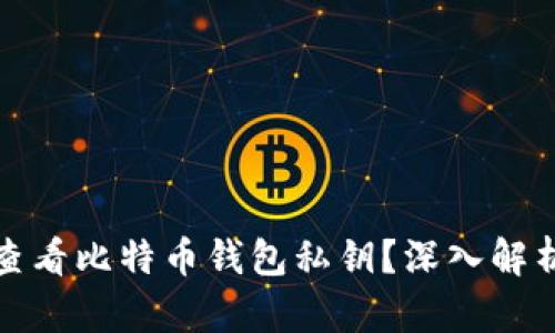 如何安全地查看比特币钱包私钥？深入解析与实用技巧