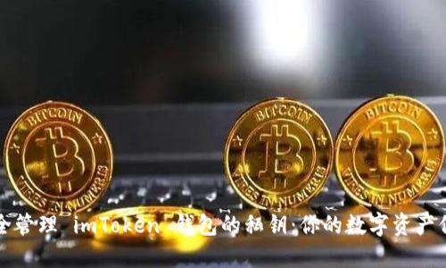 如何安全管理 imToken 钱包的私钥：你的数字资产保护指南