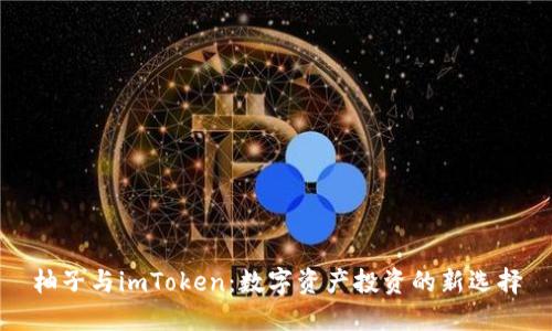 柚子与imToken：数字资产投资的新选择