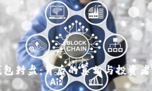 比特币钱包封盘：背后的真相与投资者应对策略