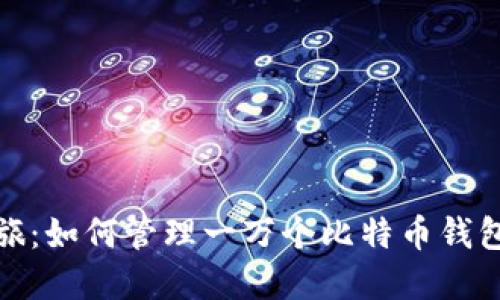 探索比特币之旅：如何管理一万个比特币钱包的投资与防护