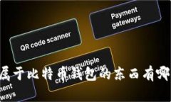 不属于比特币钱包的东西