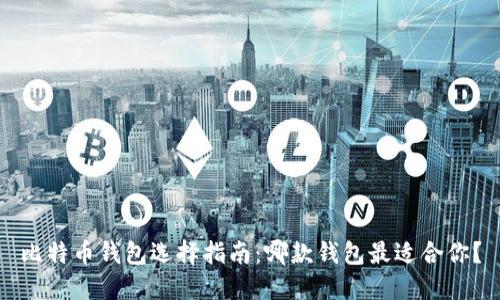比特币钱包选择指南：哪款钱包最适合你？