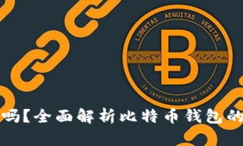 存比特币钱包可靠吗？全面解析比特币钱包的安全性与存储方式