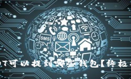 USDT可以提到哪些钱包？终极指南