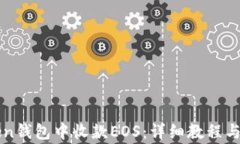 如何在imToken钱包中收款