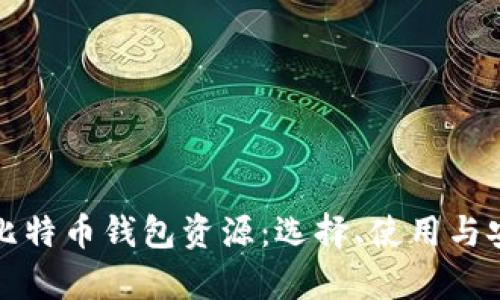 全面解析比特币钱包资源：选择、使用与安全性指南
