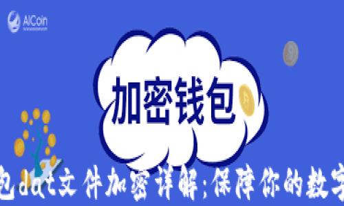 
比特币钱包dat文件加密详解：保障你的数字资产安全