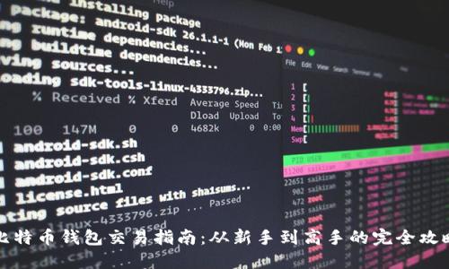 比特币钱包交易指南：从新手到高手的完全攻略