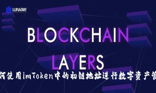 如何使用imToken中的初链地址进行数字资产管理