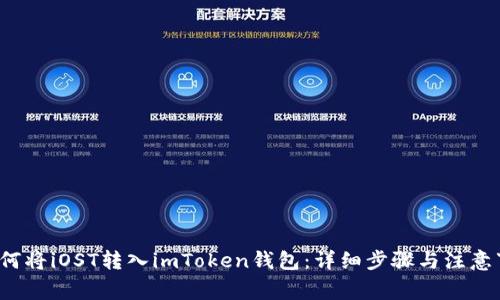  如何将iOST转入imToken钱包：详细步骤与注意事项
