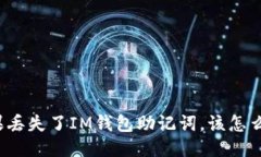 如果丢失了IM钱包助记词，