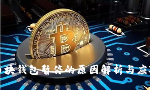 比特币块钱包暂停的原因解析与应对策略
