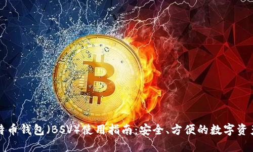 TP比特币钱包（BSV）使用指南：安全、方便的数字资产管理