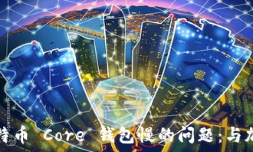   
解决比特币 Core 钱包慢的问题：与加速指南